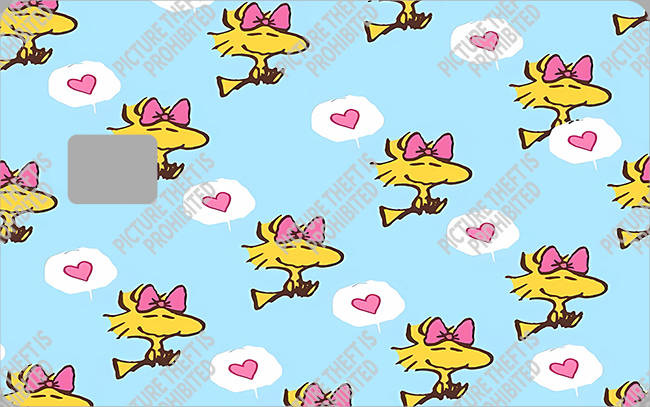 Bank  Card Sticker-BC-3822